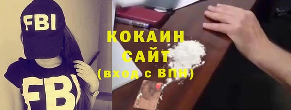 крисы Богородицк