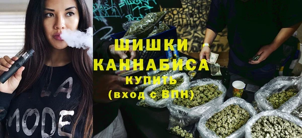 дурь Богданович