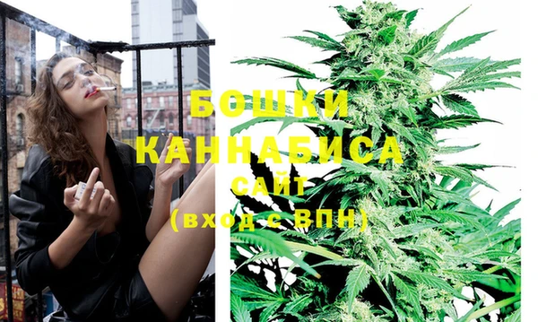 крисы Богородицк