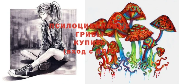 дурь Богданович
