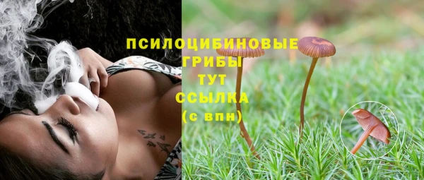 дурь Богданович