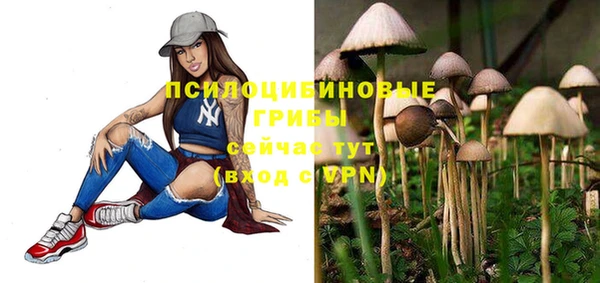 крисы Богородицк