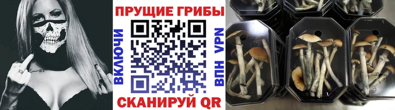 продажа наркотиков  Трёхгорный  Галлюциногенные грибы мухоморы 